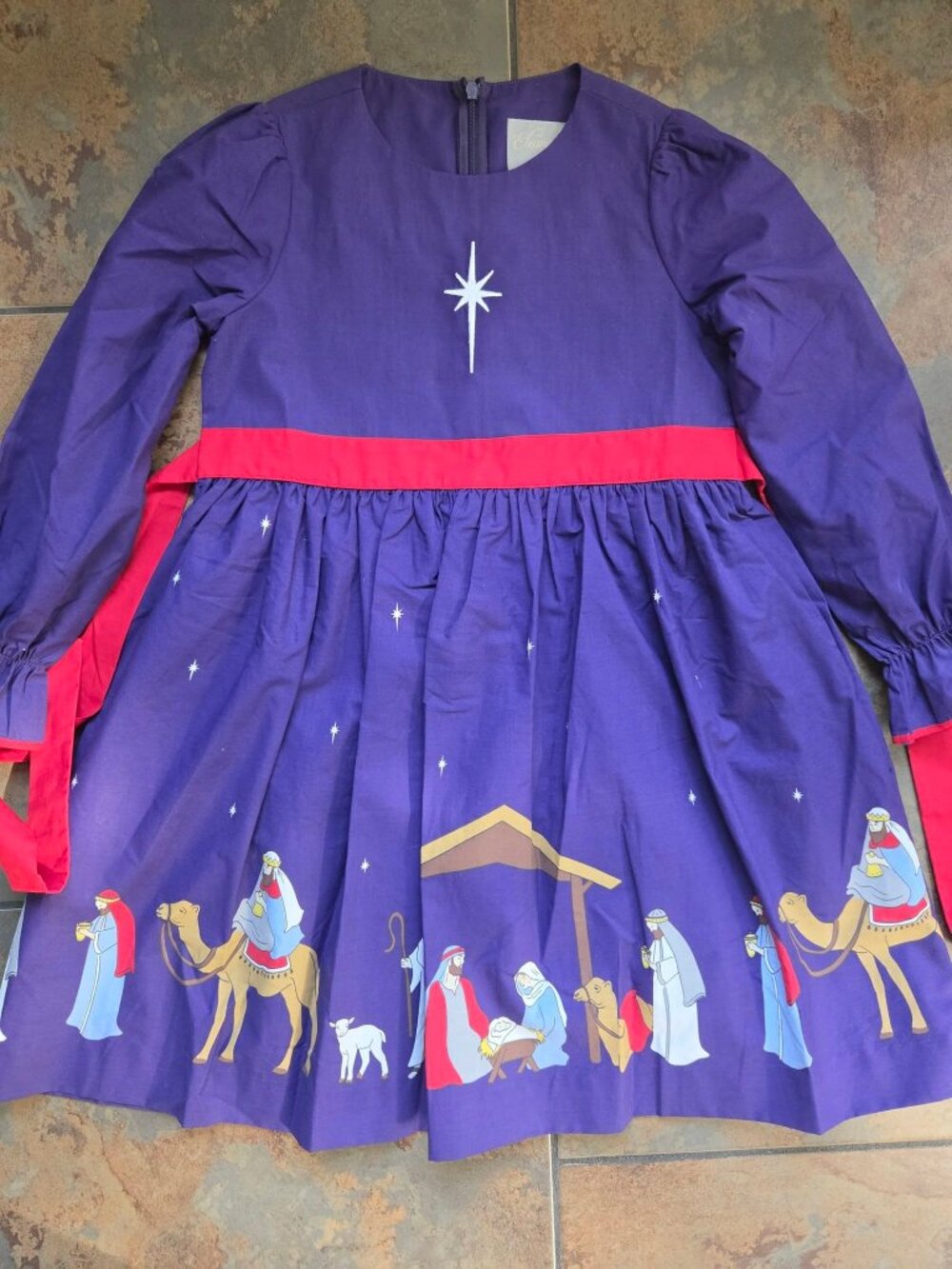 Eleanor Rose Silent Night Dress sz 7-8. NWOT
